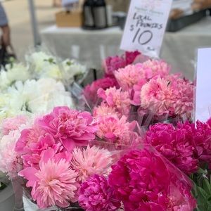 Meet your Posher, Robin